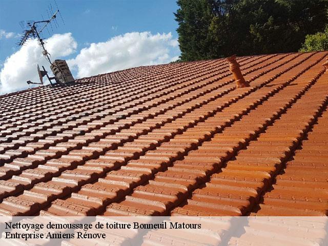 Nettoyage demoussage de toiture  bonneuil-matours-86210 Entreprise Amiens Rénove