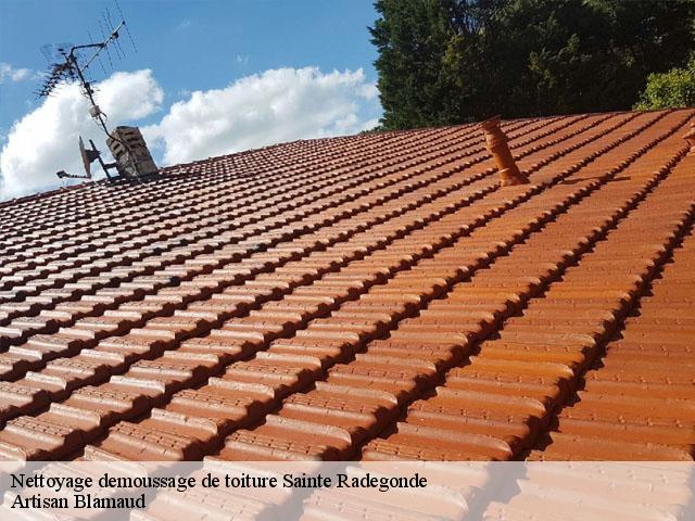 Nettoyage demoussage de toiture  sainte-radegonde-86300 Artisan Blamaud